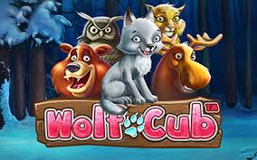 Nappaa Wolf Cub -ilmaiskierroksia ja lue muiden kokemuksia pelistä täältä!