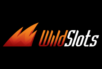 wild slots logo