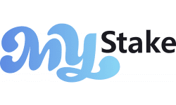 mystake logo
